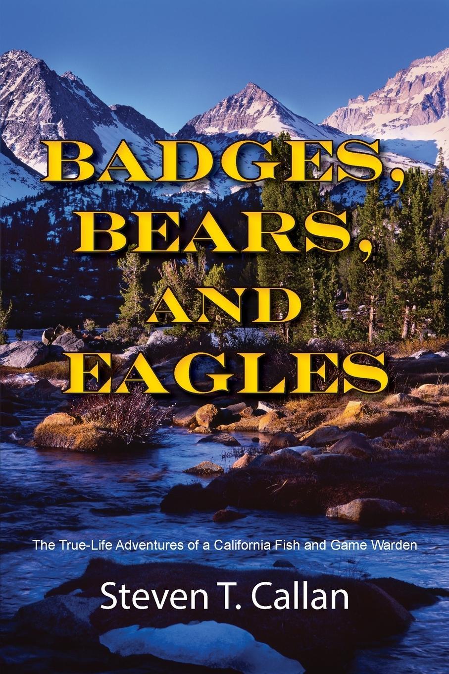 Vorderes Coverbild Badges, Bears, and Eagles