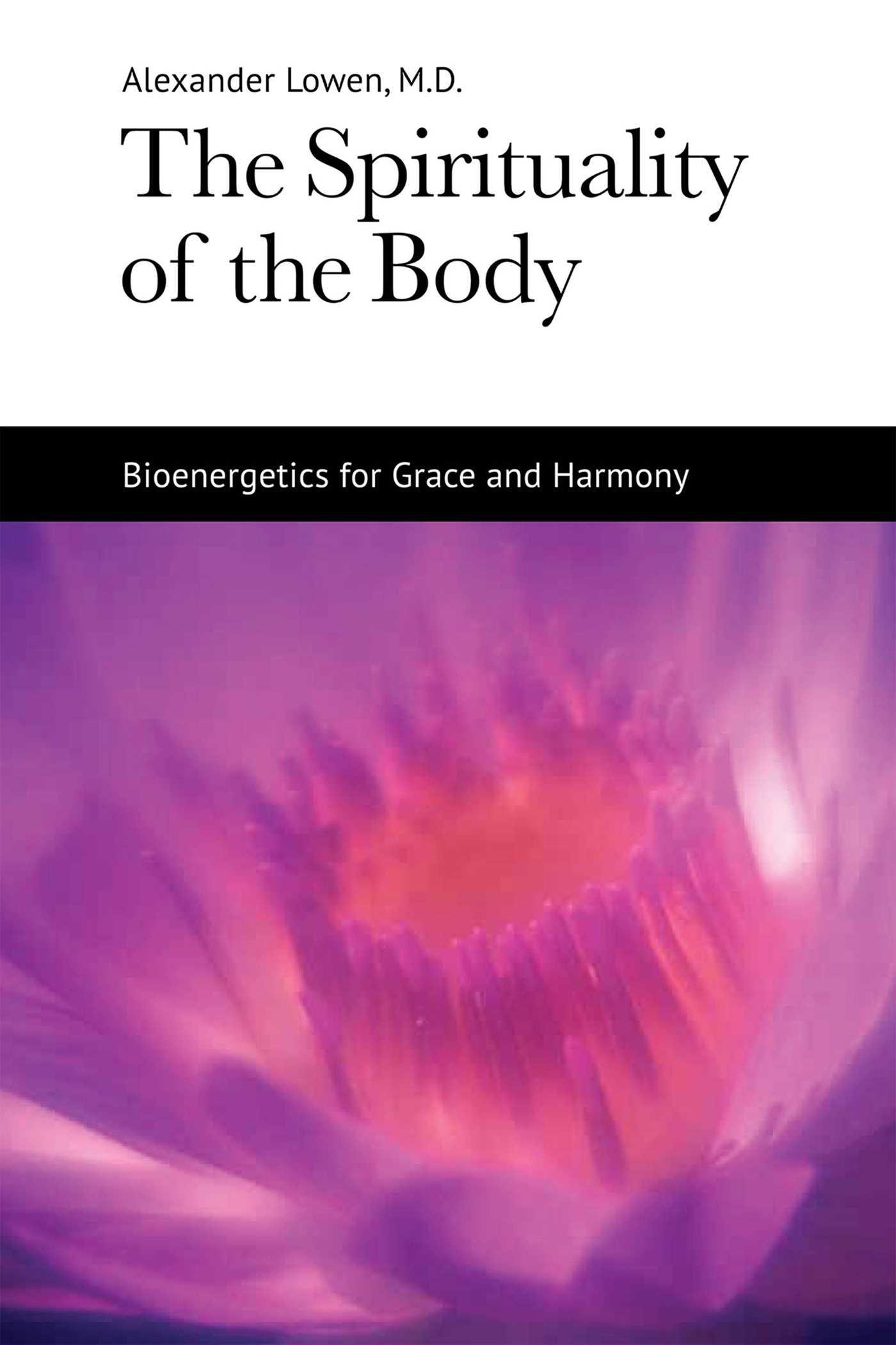 Vorderes Coverbild The Spirituality of the Body