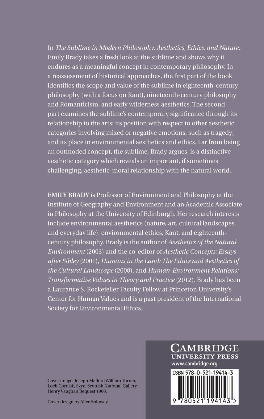 Rückseitencover The Sublime in Modern Philosophy