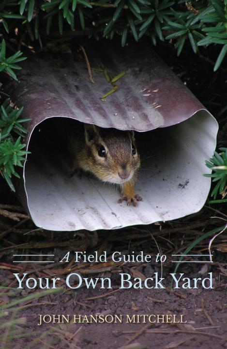 Vorderes Coverbild A Field Guide to Your Own Back Yard