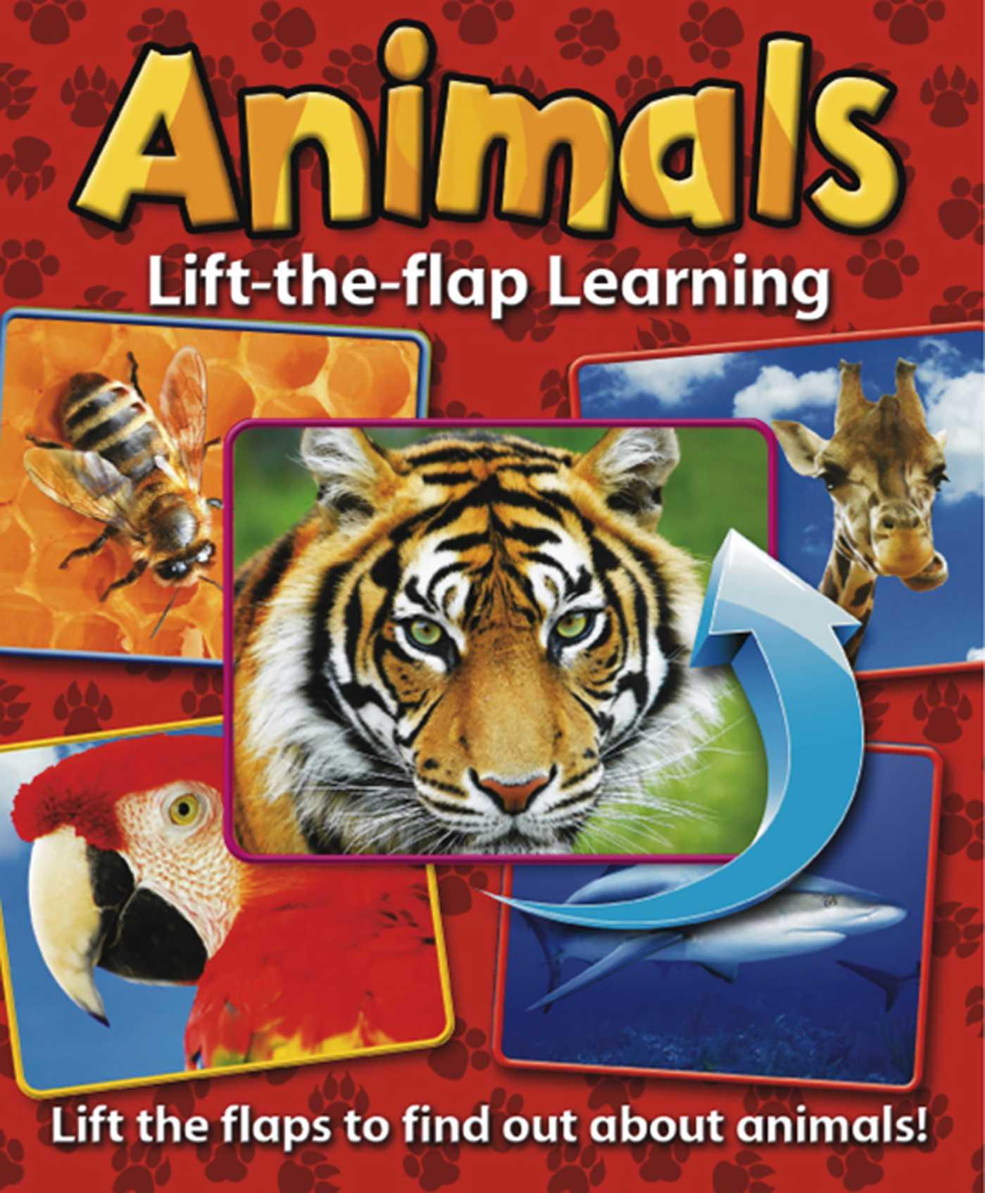 Vorderes Coverbild Lift-The-Flap Learning: Animals