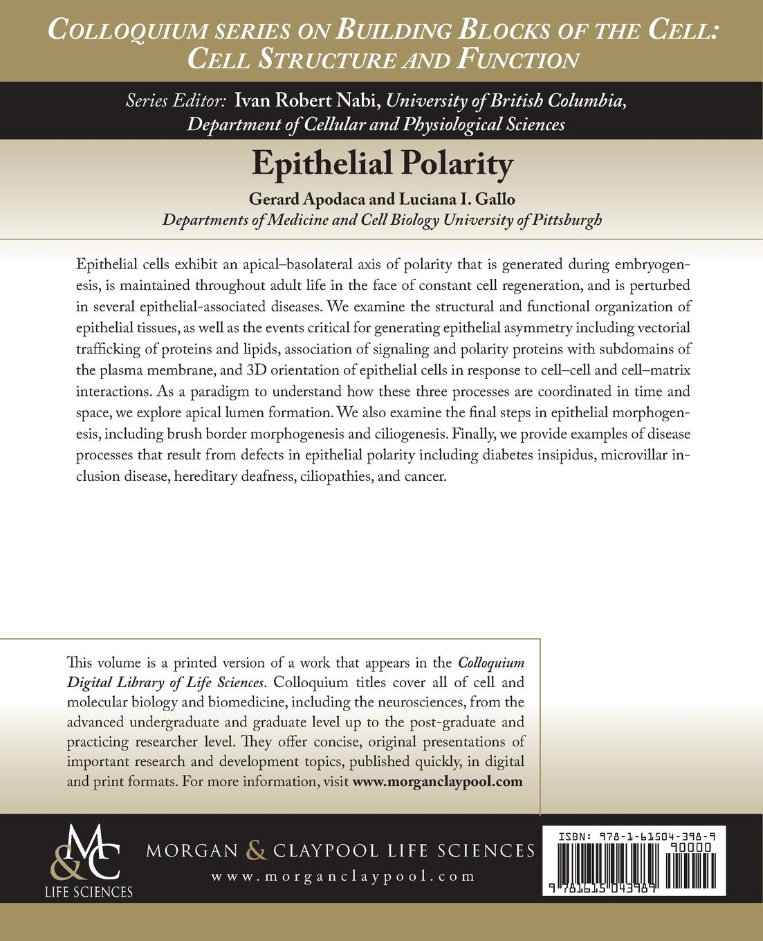 Rückseitencover Epithelial Polarity