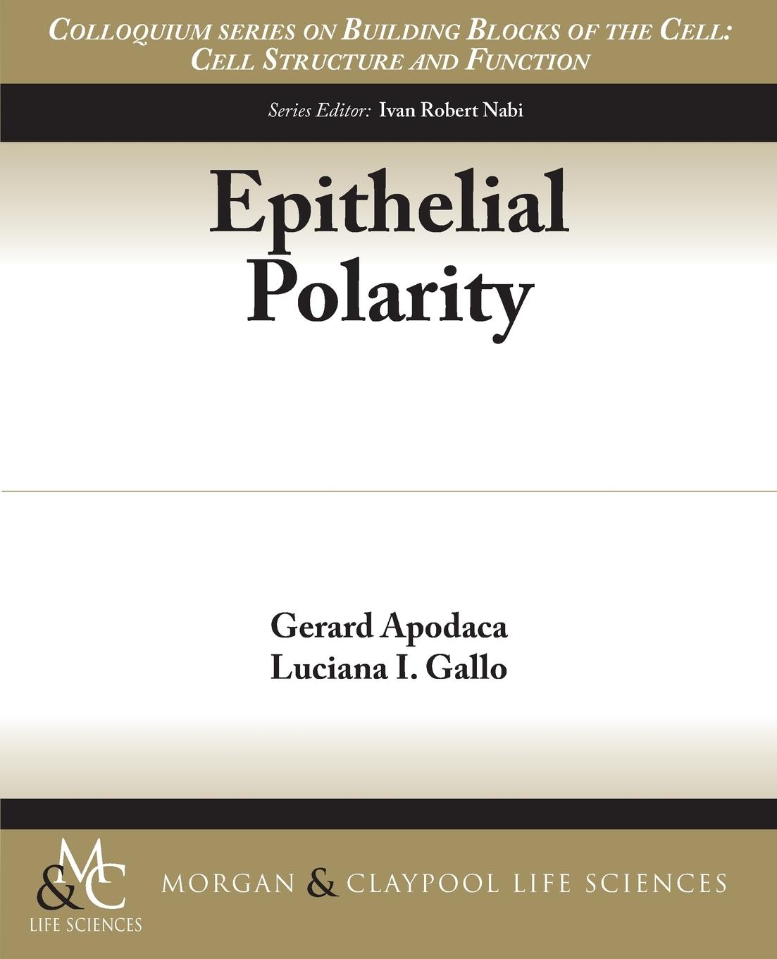 Vorderes Coverbild Epithelial Polarity