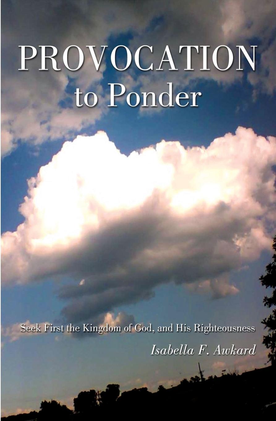 Vorderes Coverbild Provocation to Ponder
