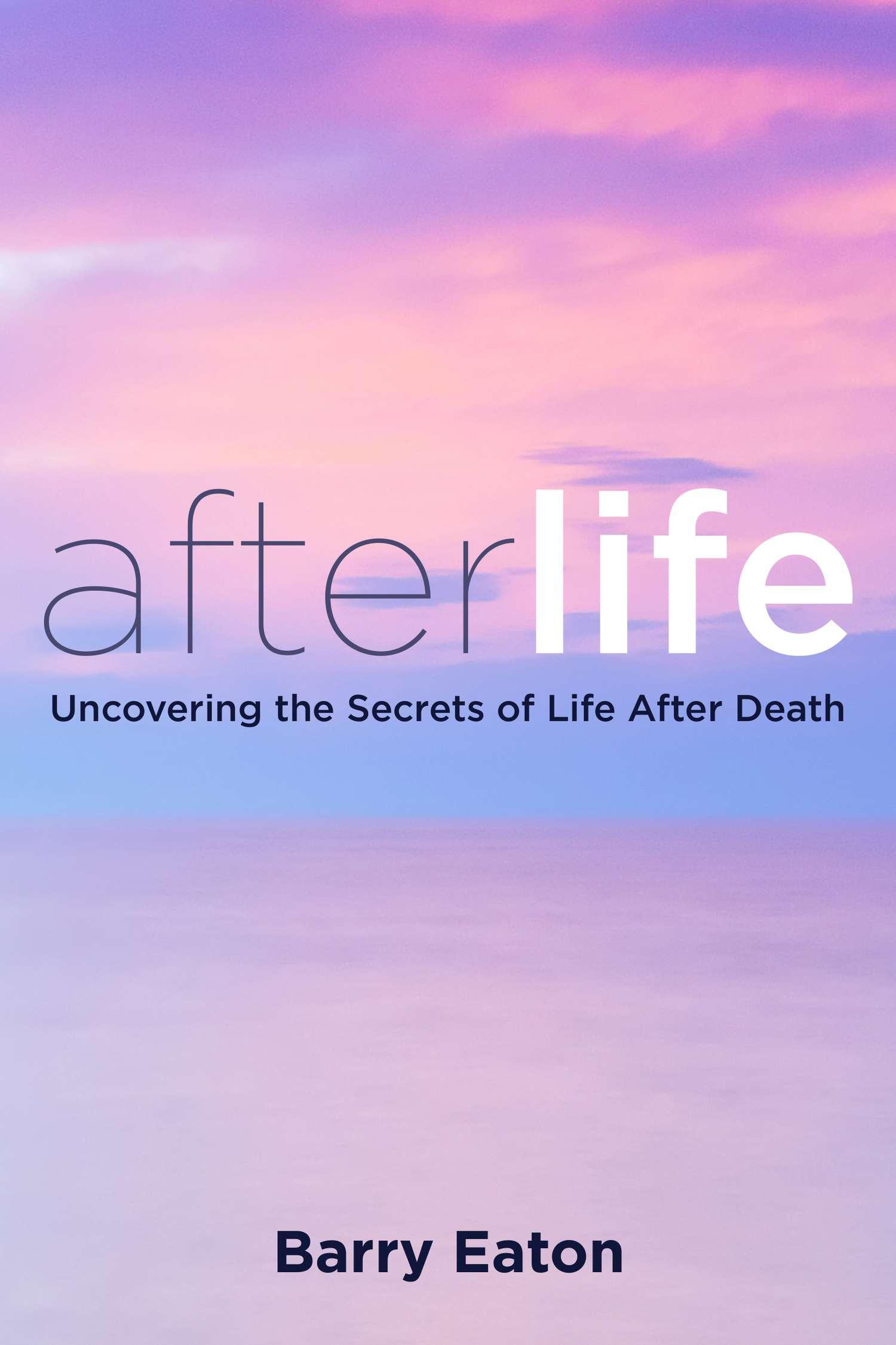 Vorderes Coverbild Afterlife