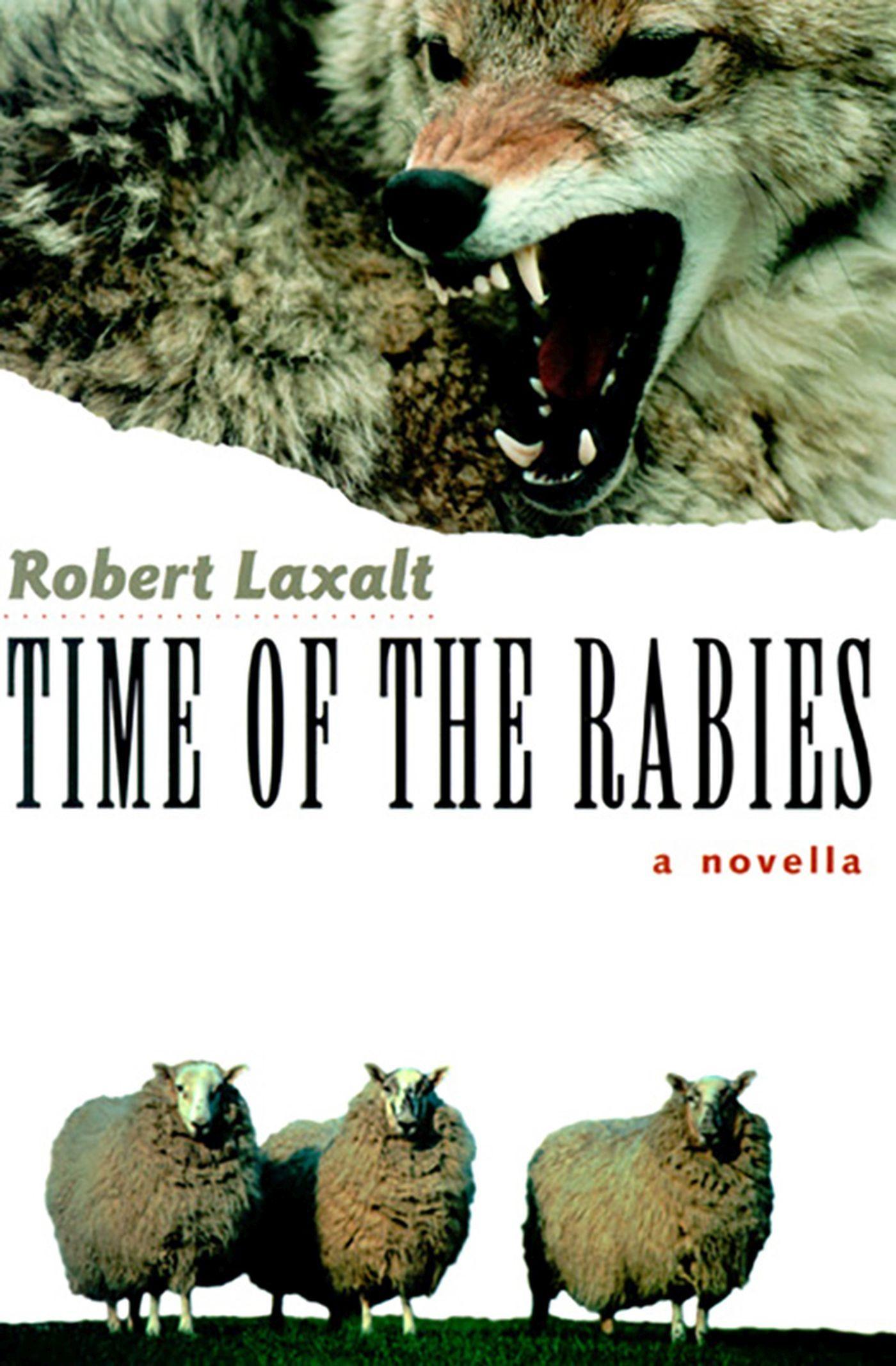 Vorderes Coverbild Time of the Rabies