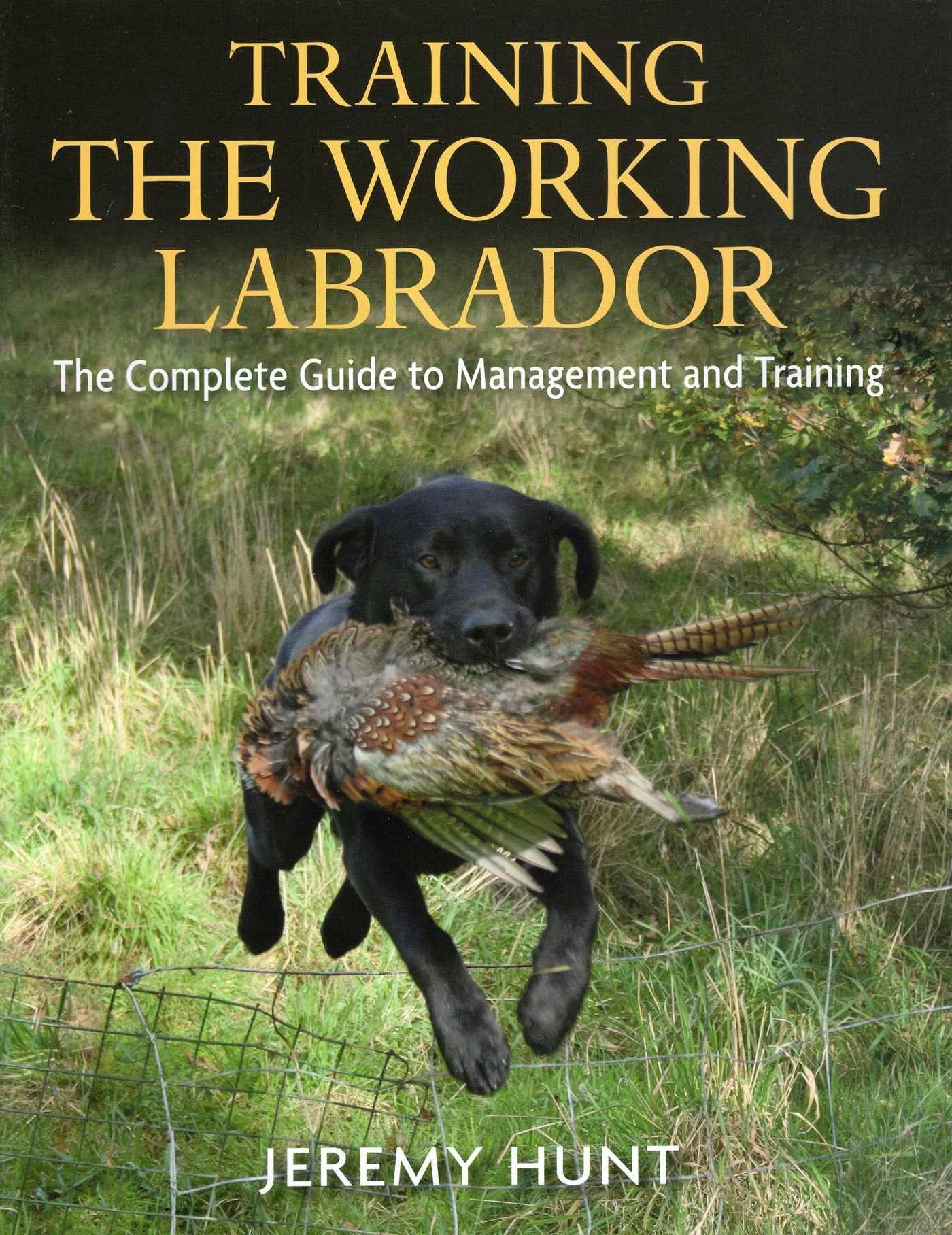 Vorderes Coverbild Training the Working Labrador