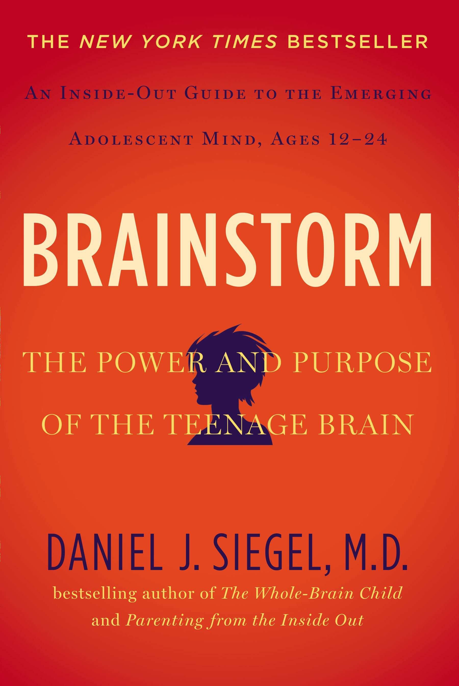 Vorderes Coverbild Brainstorm