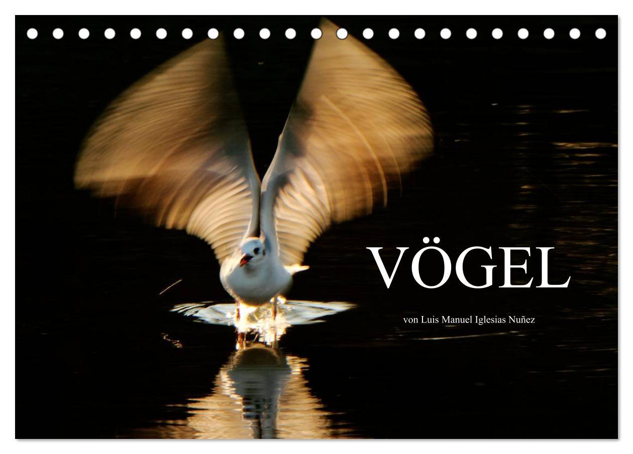 Vorderes Coverbild Honey West