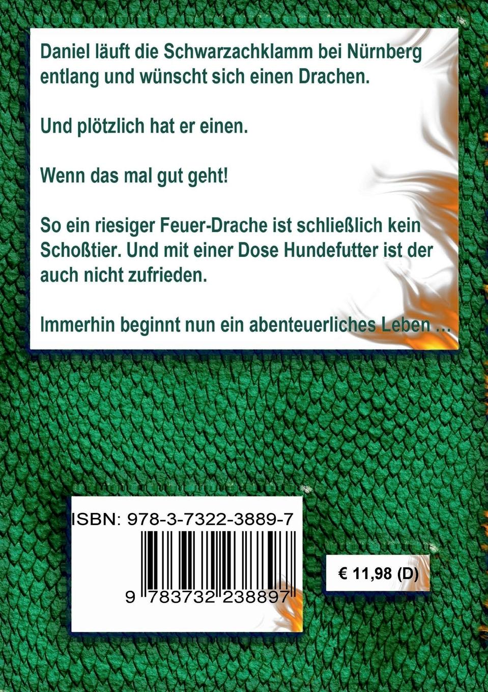 Rückseitencover Wünsch dir (k)einen Drachen