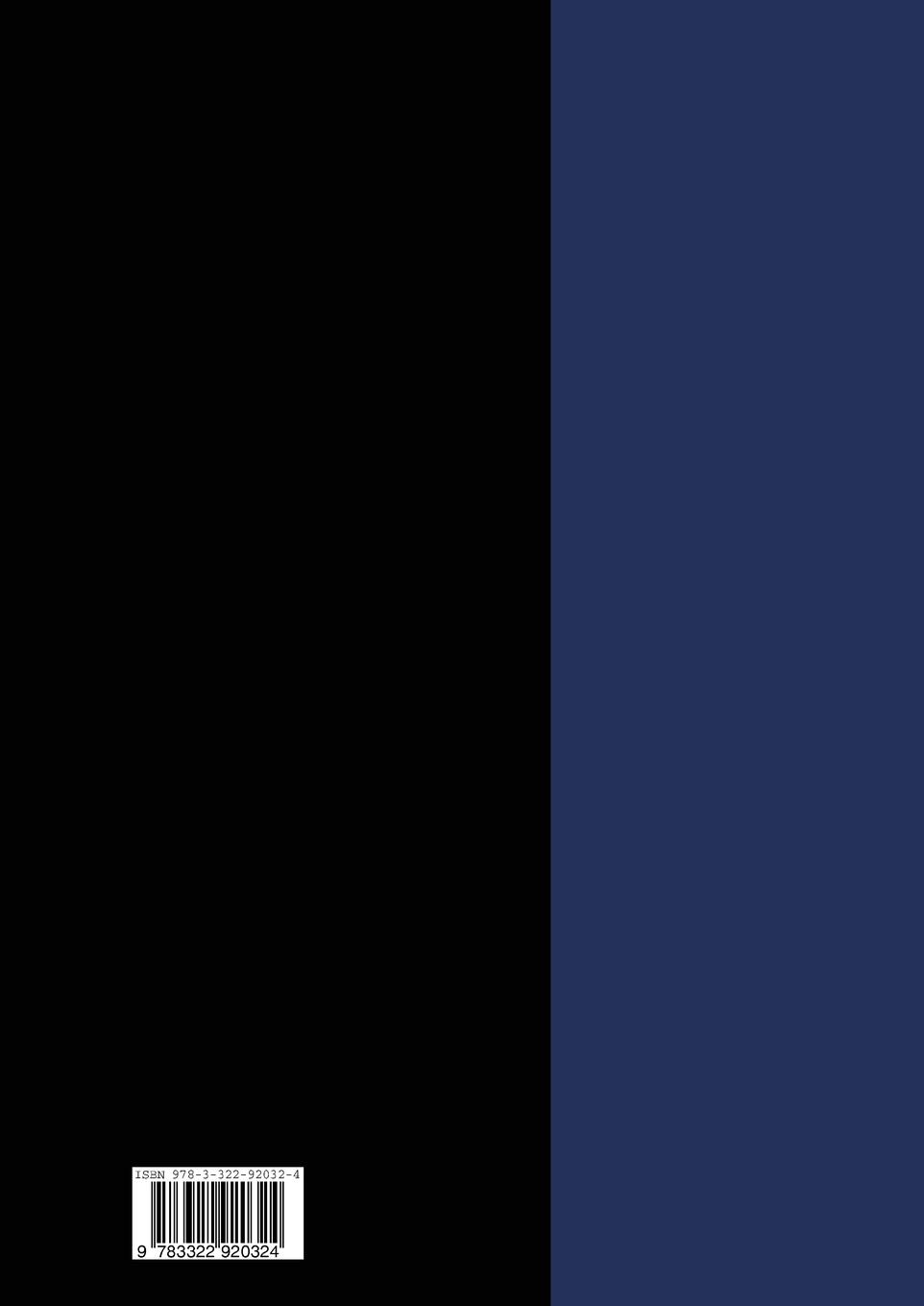 Rückseitencover Masterplan Erfolg