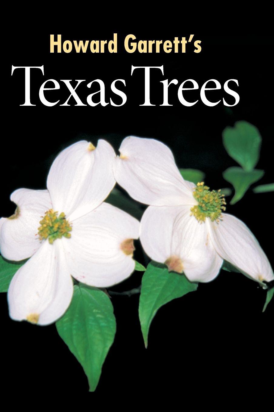 Vorderes Coverbild Texas Trees