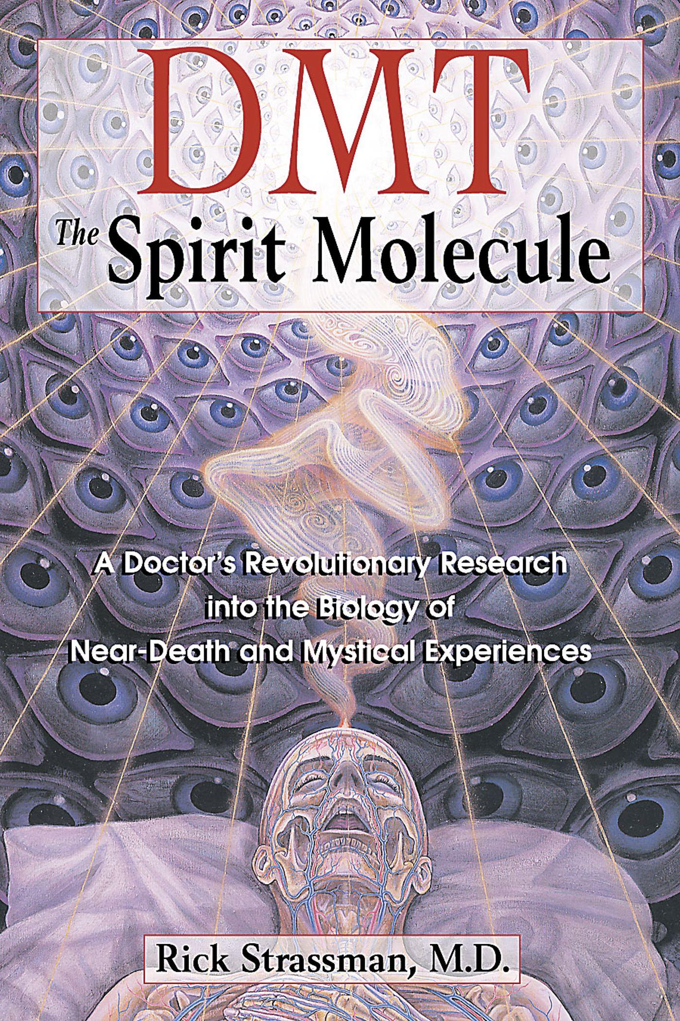 Vorderes Coverbild Dmt: The Spirit Molecule