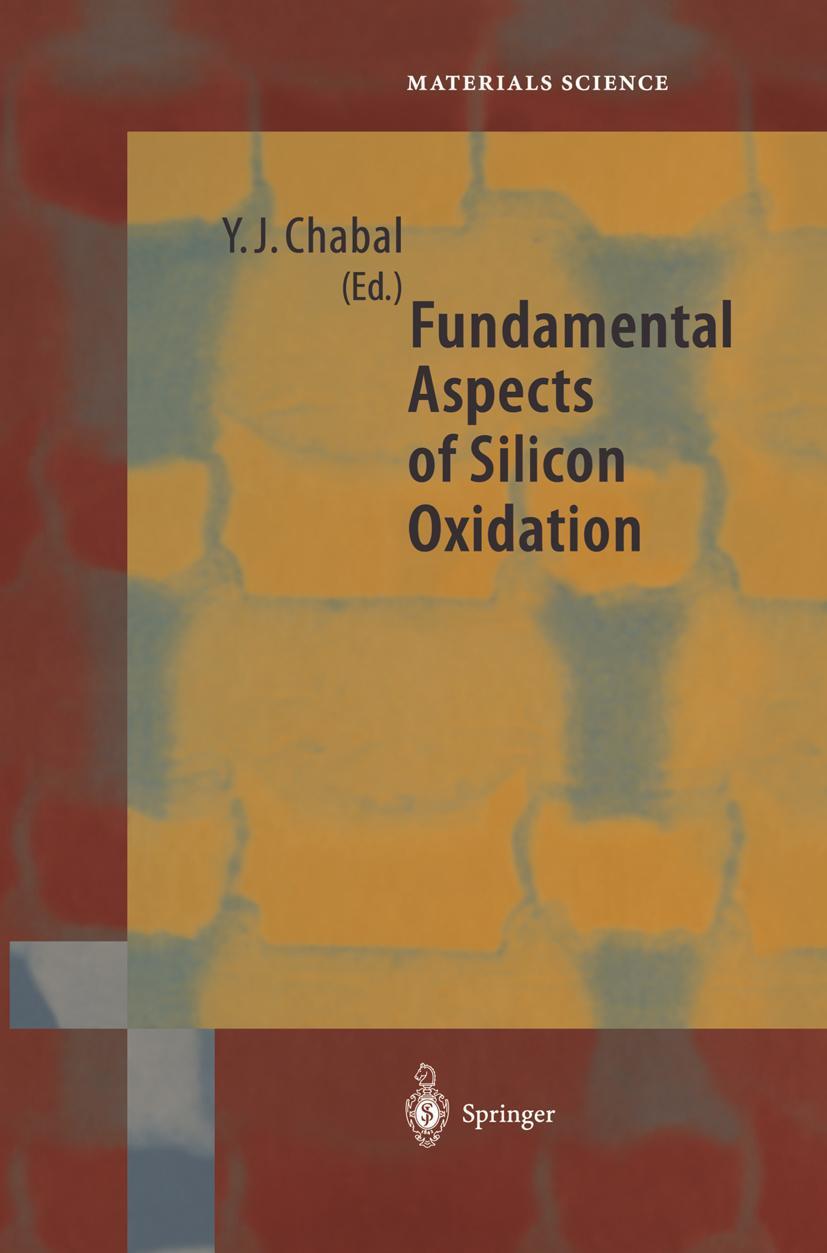 Vorderes Coverbild Fundamental Aspects of Silicon Oxidation