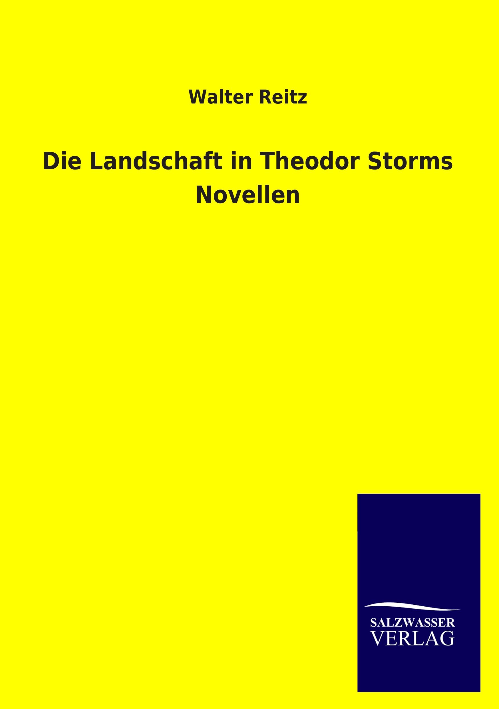Vorderes Coverbild Die Landschaft in Theodor Storms Novellen