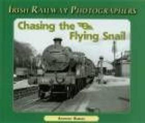 Vorderes Coverbild Chasing the Flying Snail