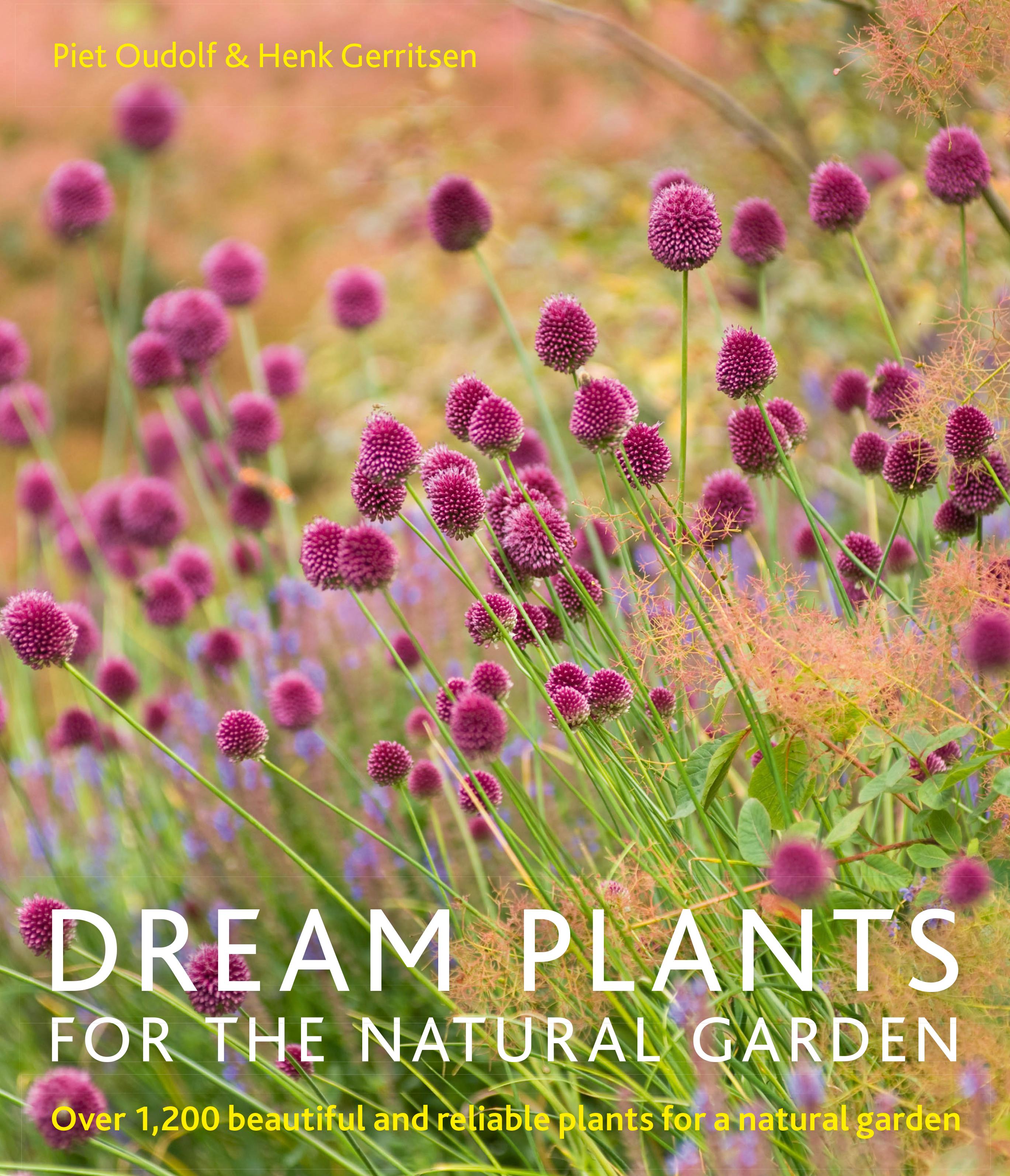 Vorderes Coverbild Dream Plants for the Natural Garden