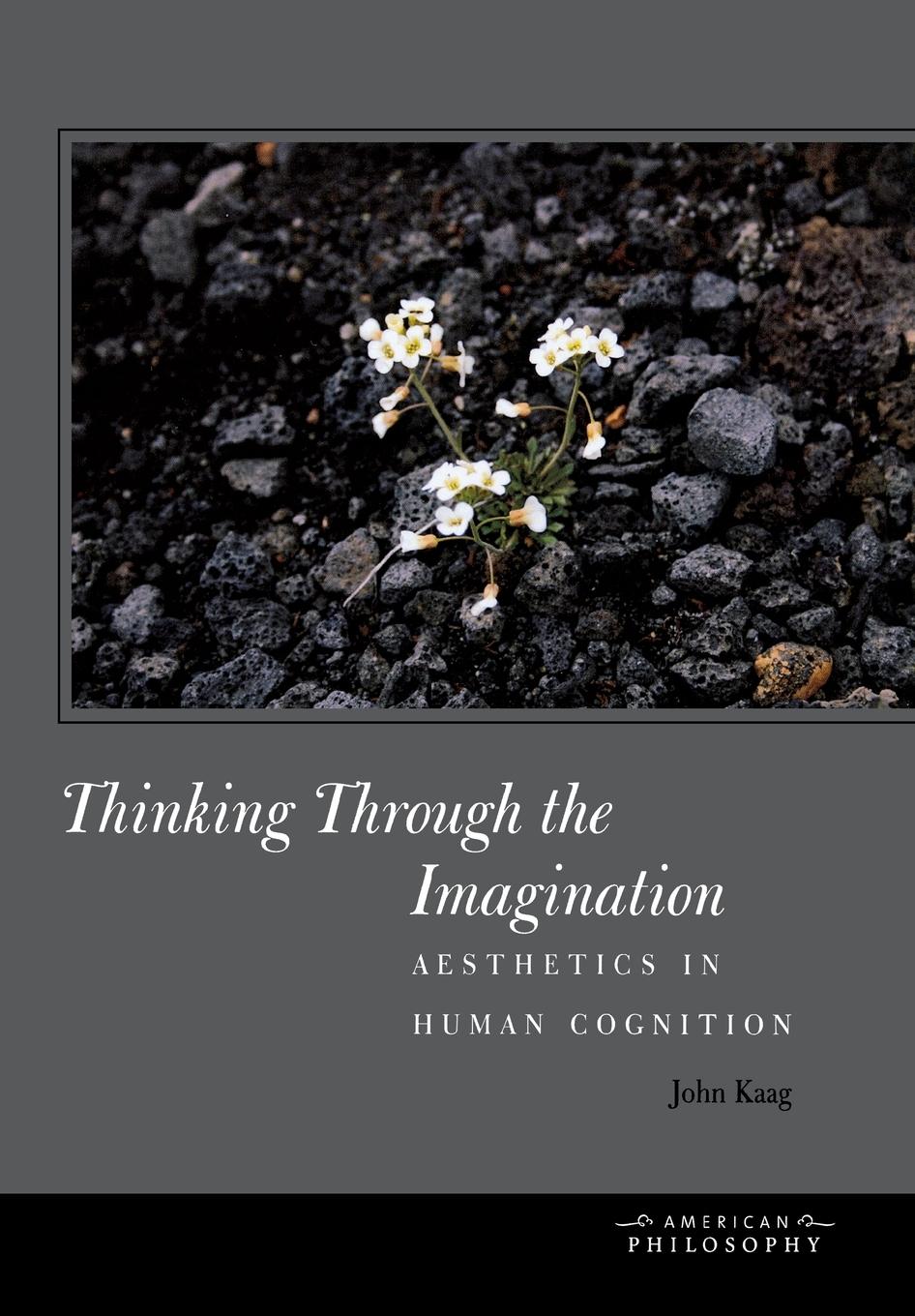 Vorderes Coverbild Thinking Through the Imagination