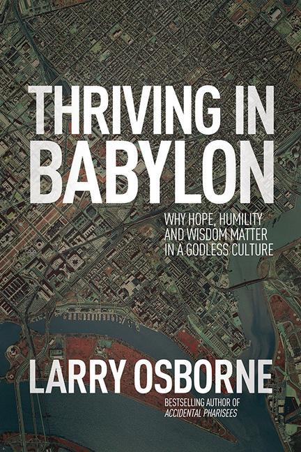 Vorderes Coverbild Thriving in Babylon