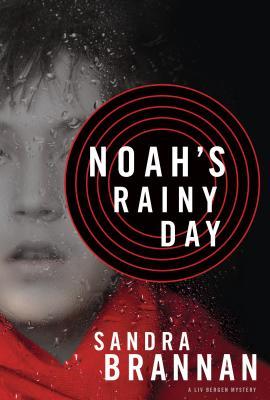 Vorderes Coverbild Noah's Rainy Day