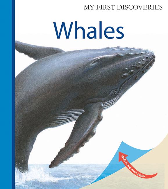 Vorderes Coverbild Whales