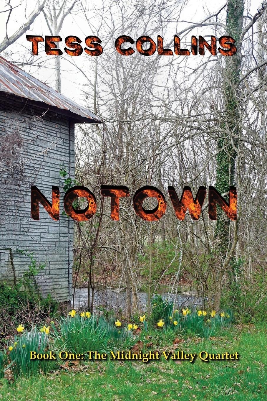Vorderes Coverbild Notown