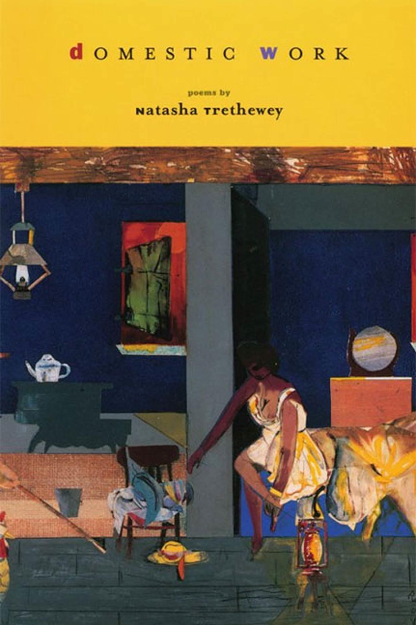 Vorderes Coverbild Domestic Work
