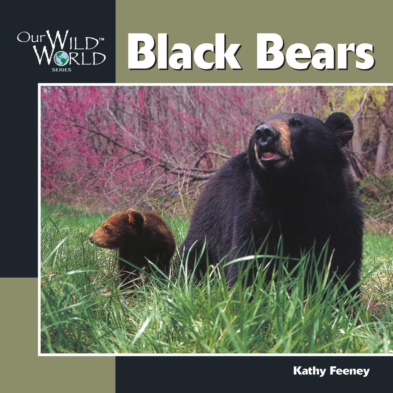 Vorderes Coverbild Black Bear