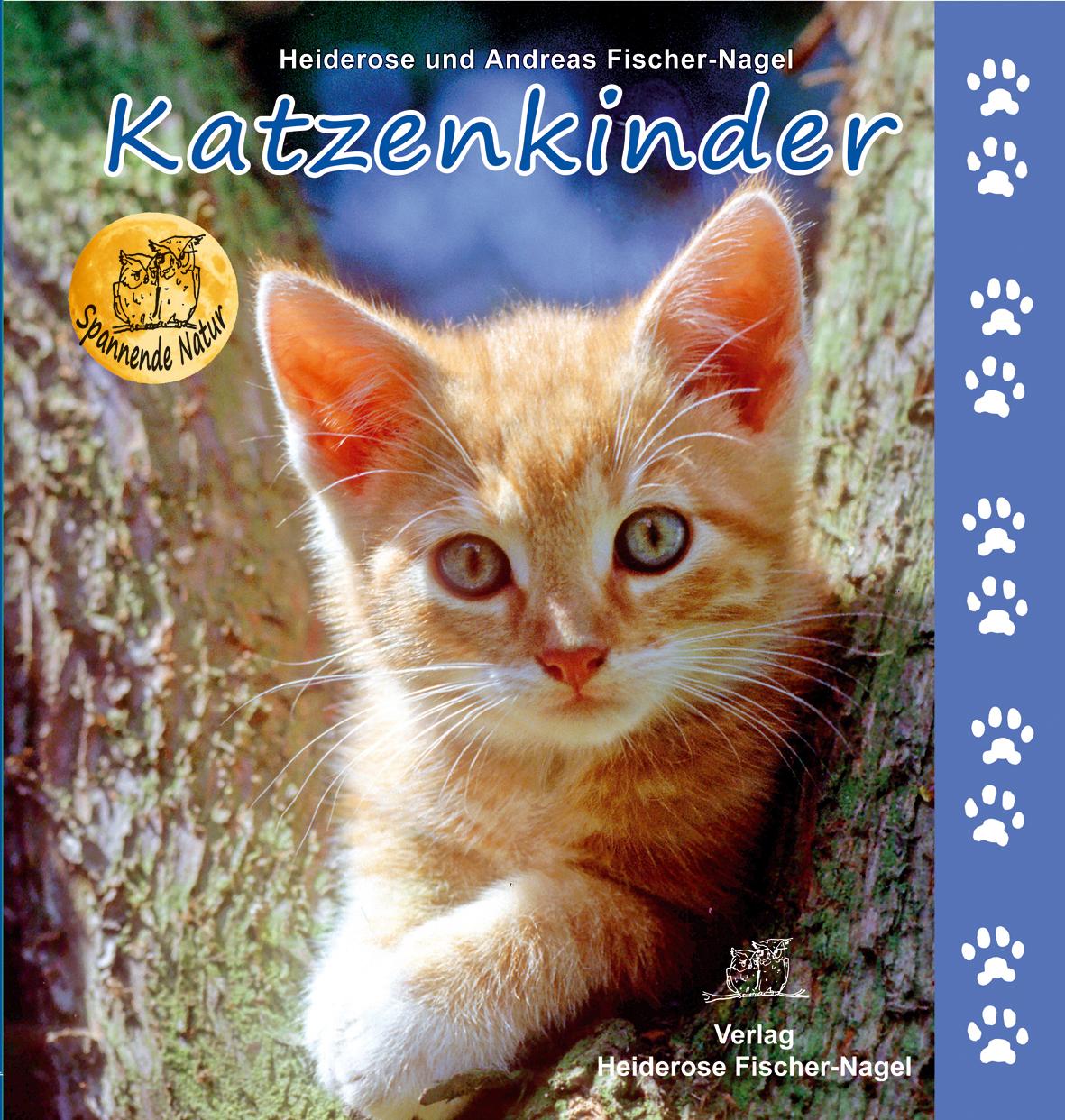Vorderes Coverbild Katzenkinder