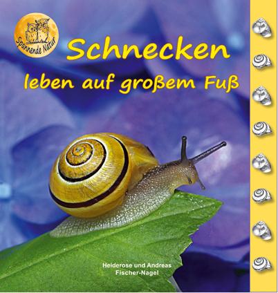 Vorderes Coverbild Schnecken