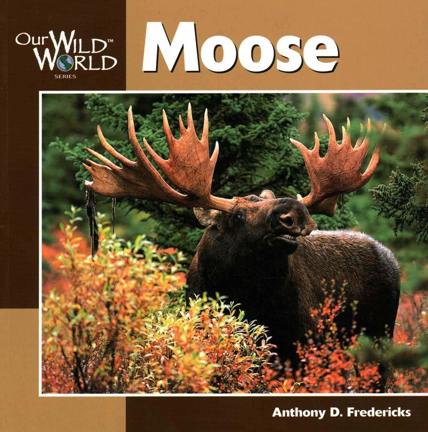Vorderes Coverbild Moose -OSI