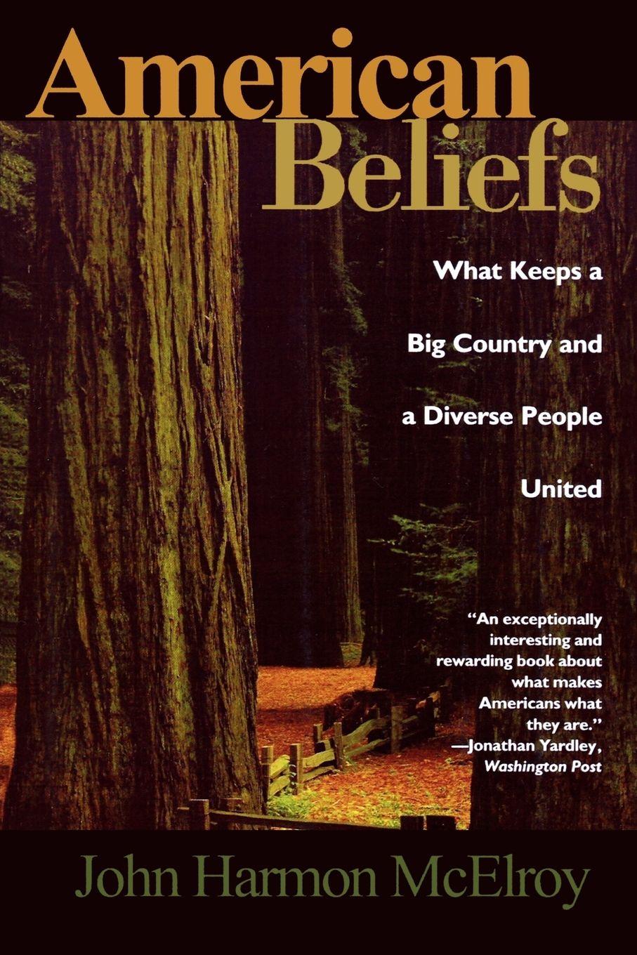 Vorderes Coverbild American Beliefs