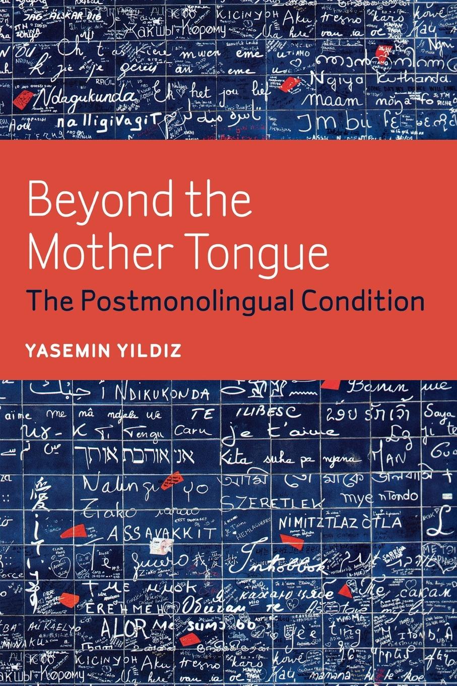 Vorderes Coverbild Beyond the Mother Tongue