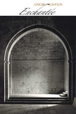 Vorderes Coverbild Enchantée