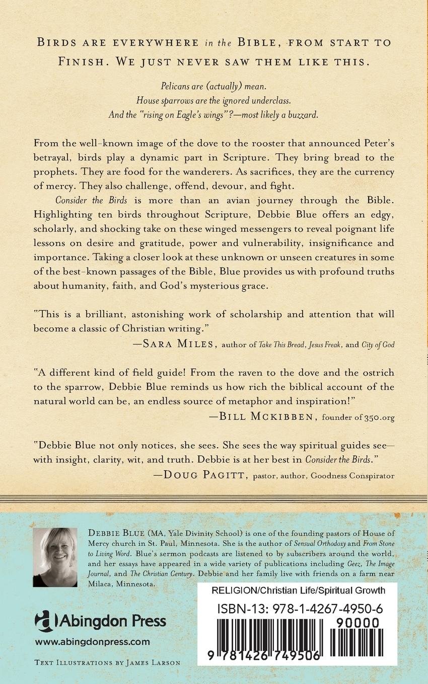 Rückseitencover Consider the Birds