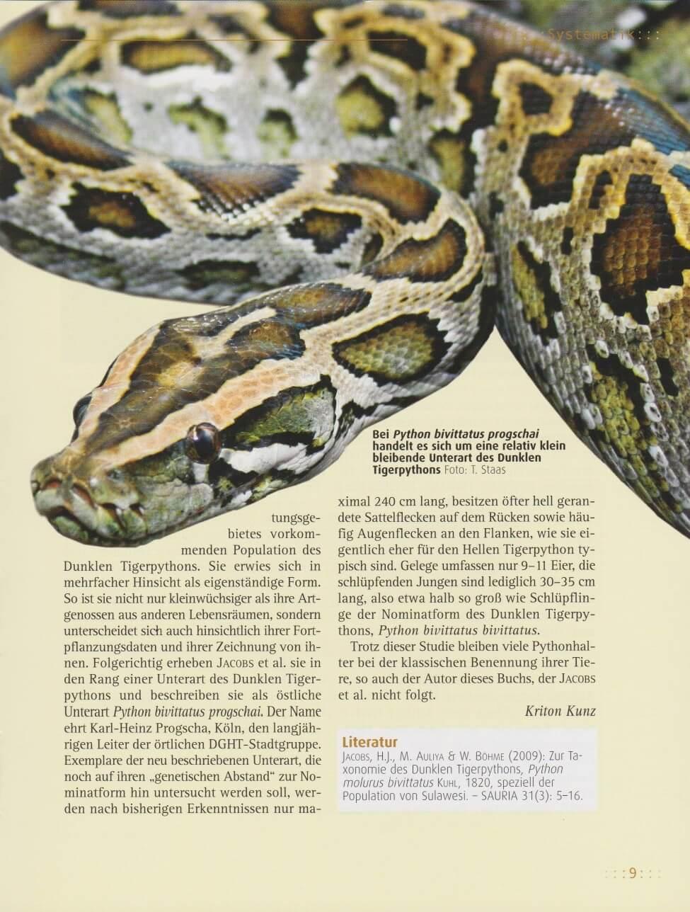 Beispielinhalt (Bild) Tigerpython