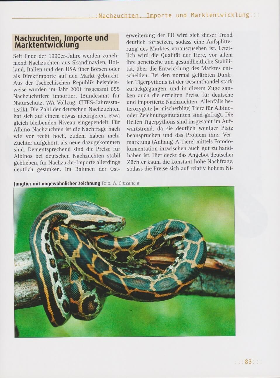 Beispielinhalt (Bild) Tigerpython