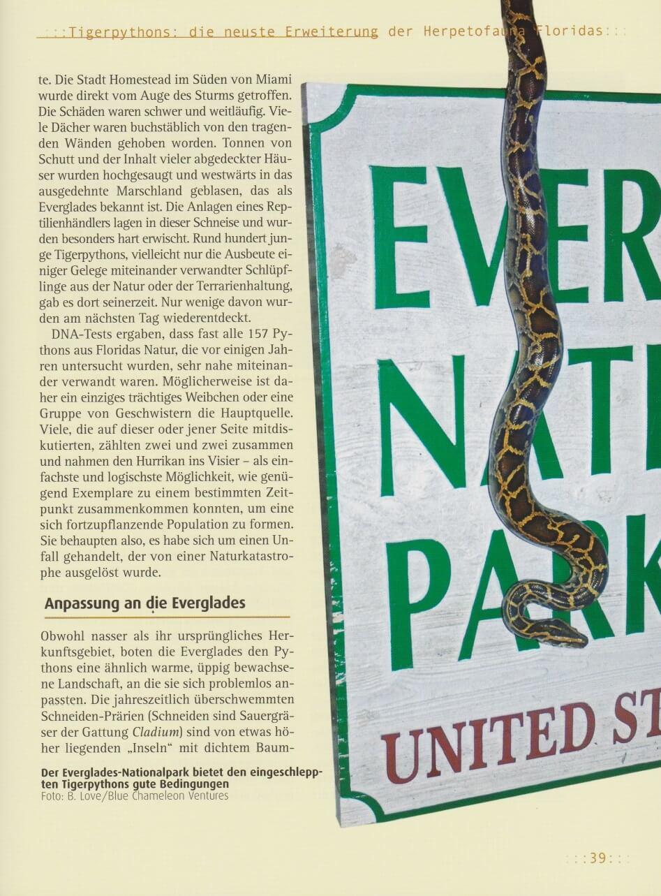 Beispielinhalt (Bild) Tigerpython
