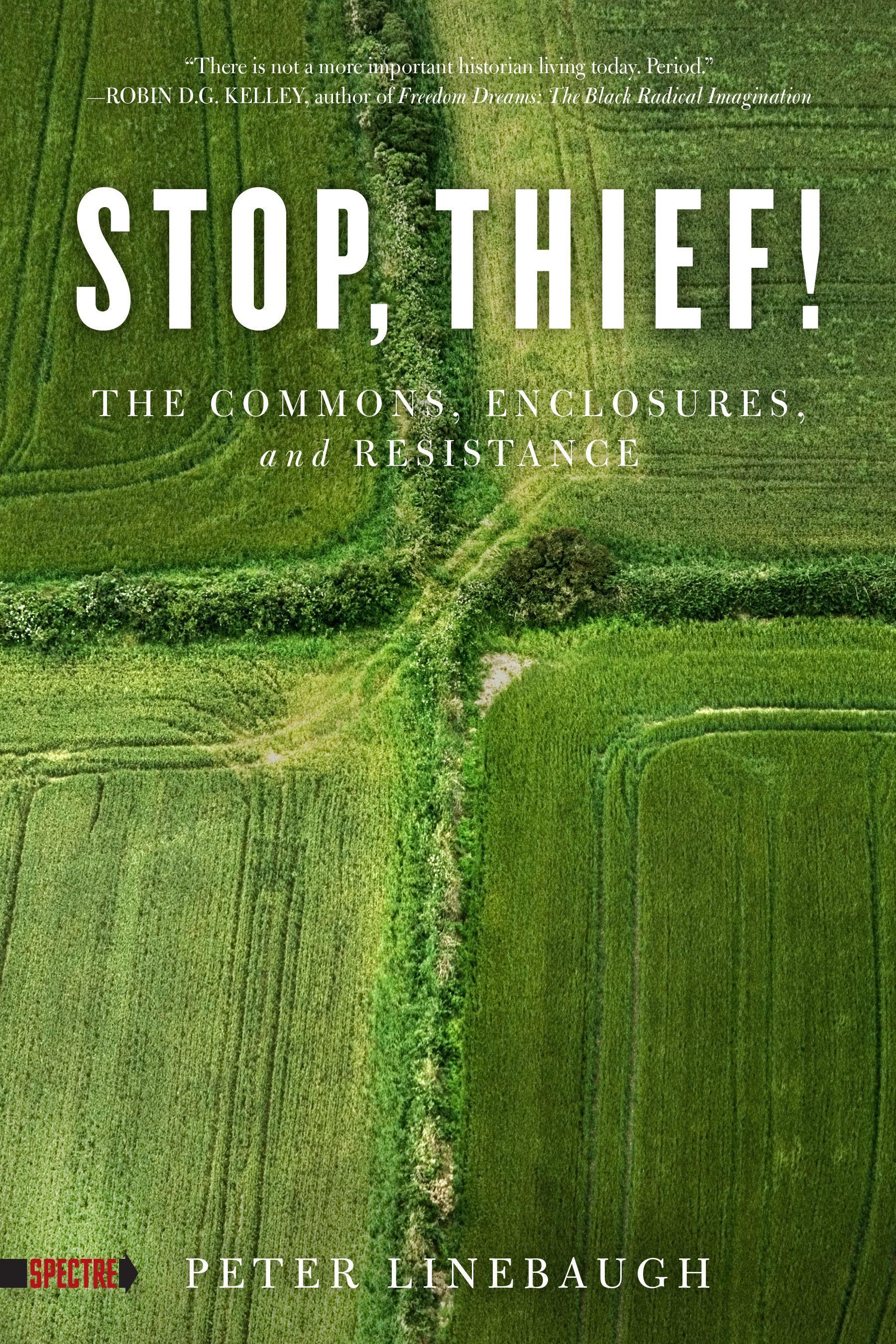 Vorderes Coverbild Stop, Thief!