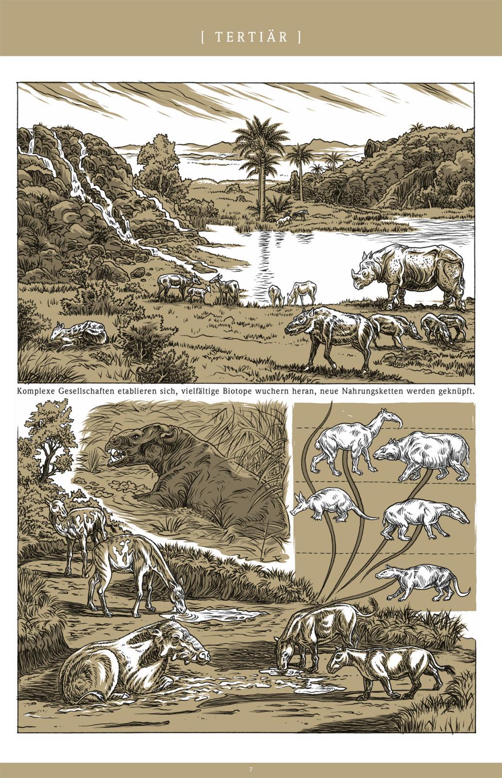 Beispielinhalt (Bild) Beta ...civilisations. Teil 1