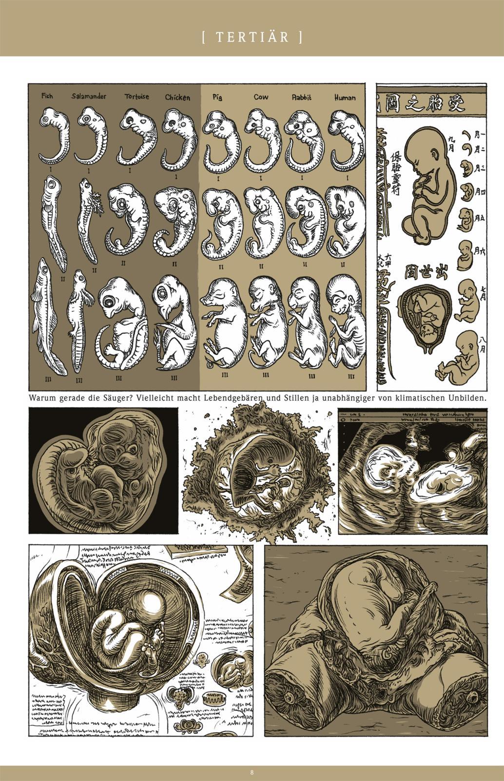 Beispielinhalt (Bild) Beta ...civilisations. Teil 1