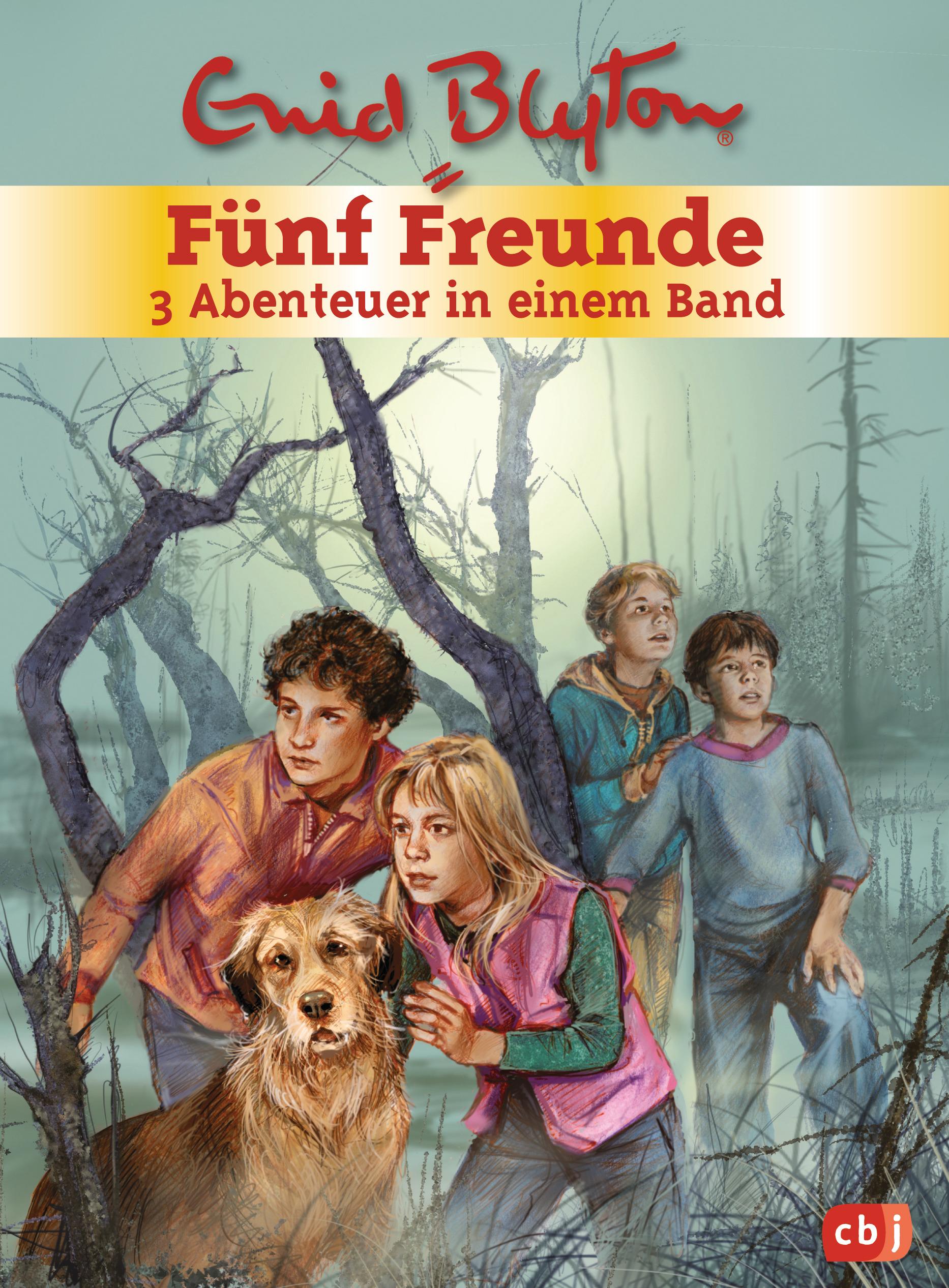 Vorderes Coverbild Fünf Freunde. Sammelband 01