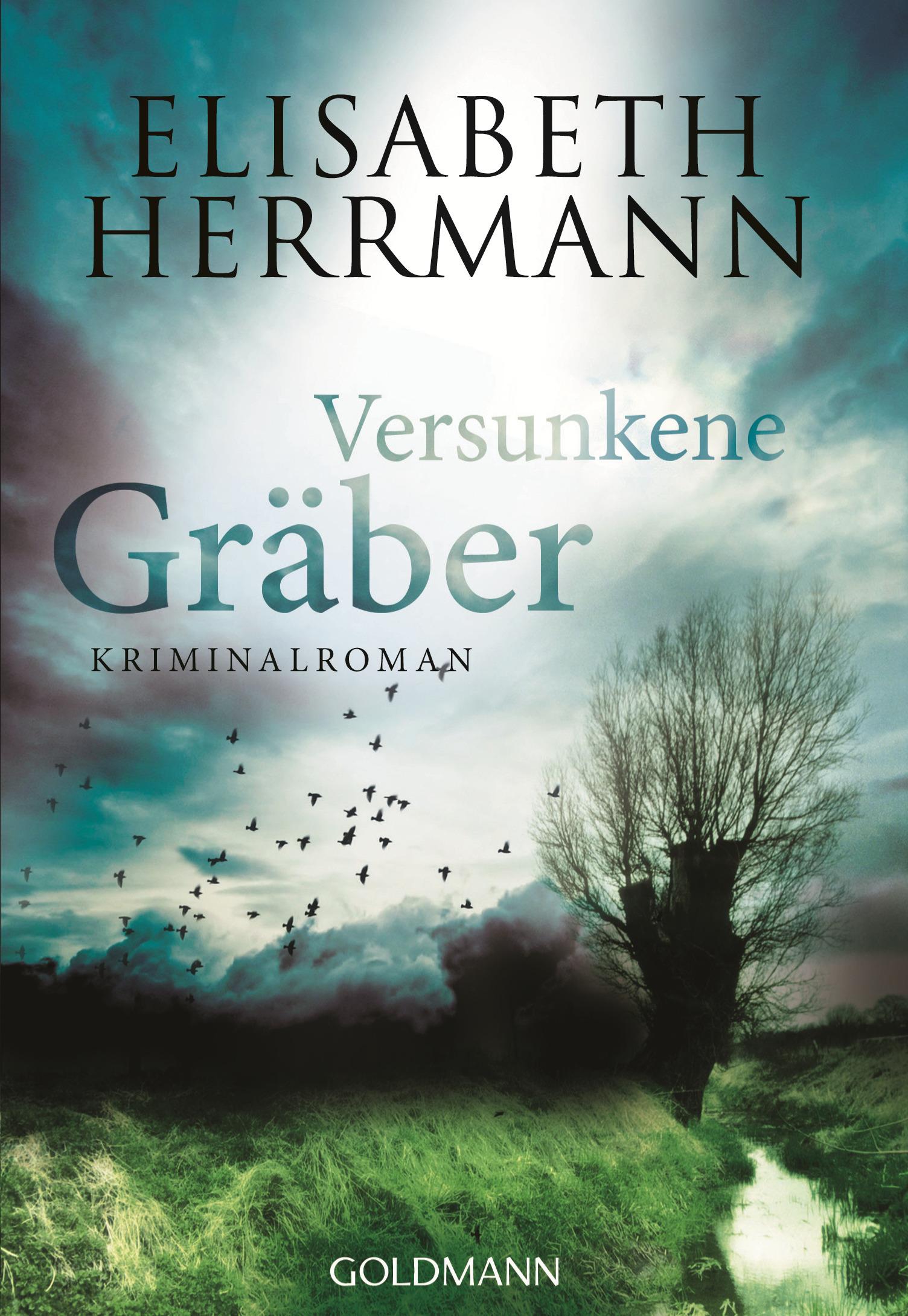 Vorderes Coverbild Versunkene Gräber