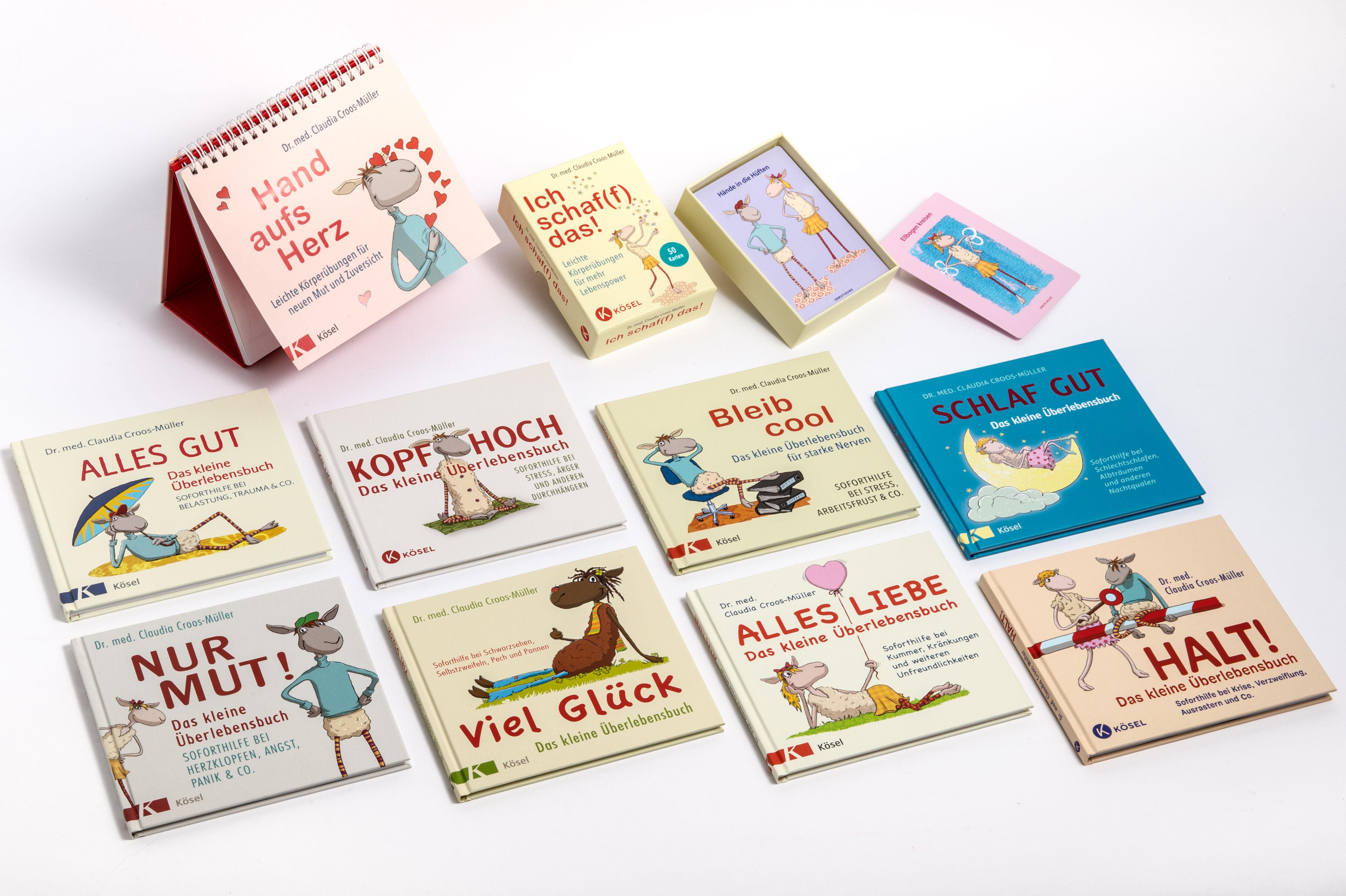 Beispielinhalt (Bild) Viel Glück - Das kleine Überlebensbuch