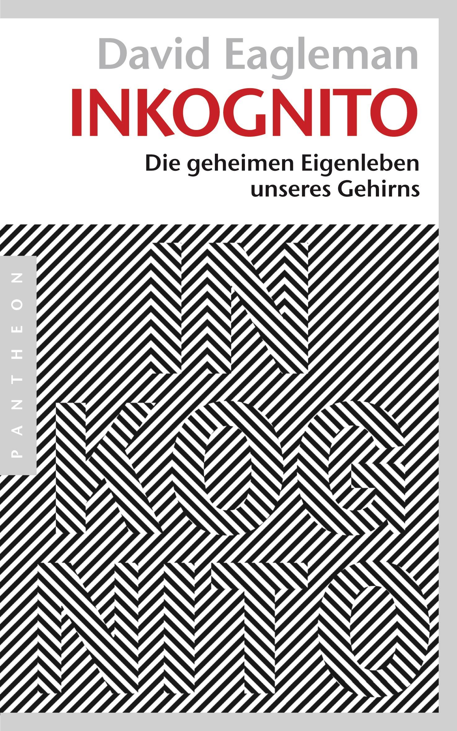 Vorderes Coverbild Inkognito