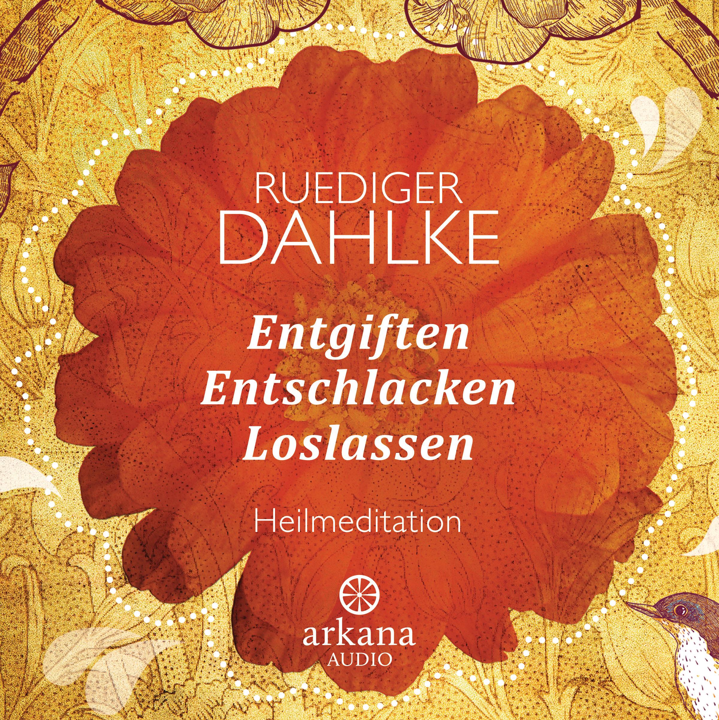 Vorderes Coverbild Entgiften... Entschlacken... Loslassen