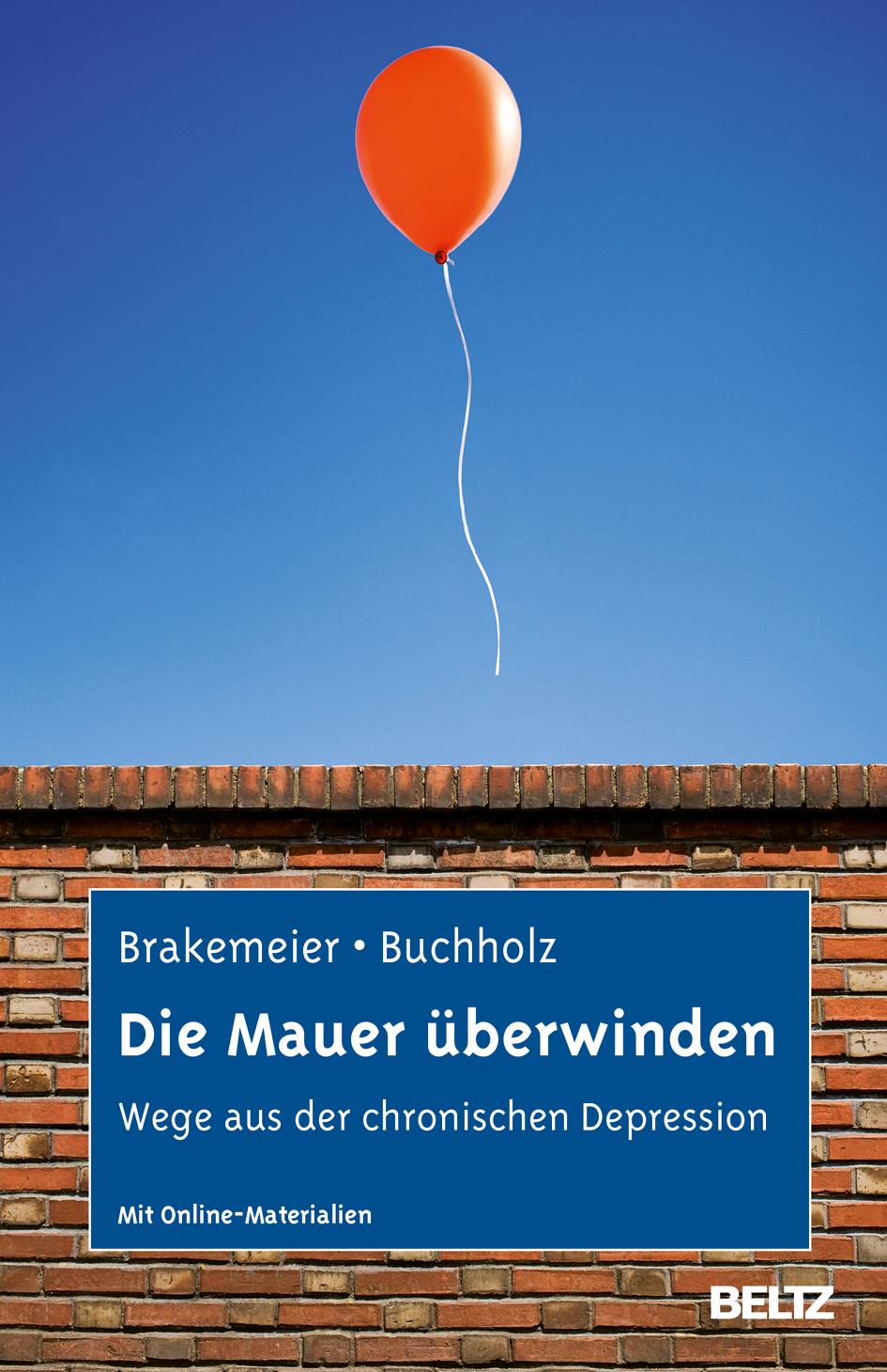 Vorderes Coverbild Die Mauer überwinden