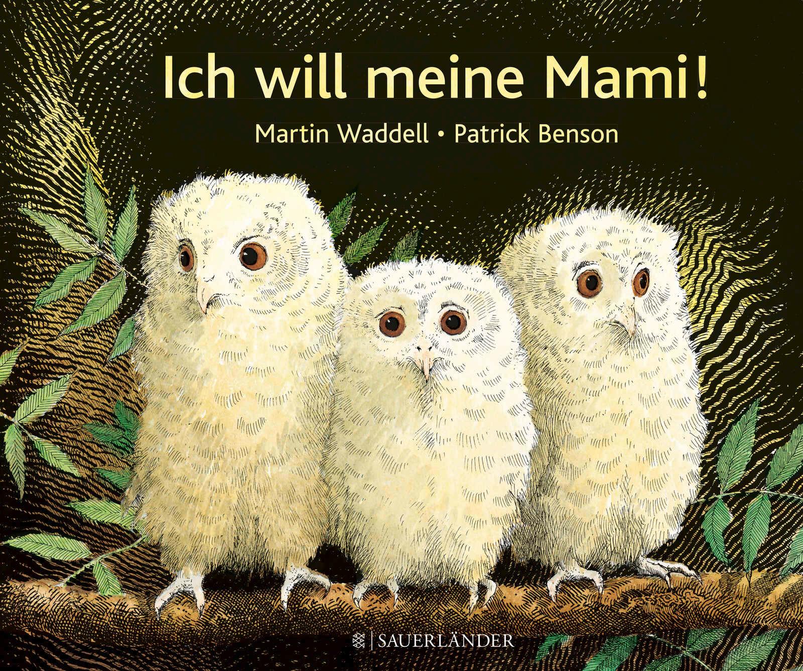 Vorderes Coverbild Ich will meine Mami