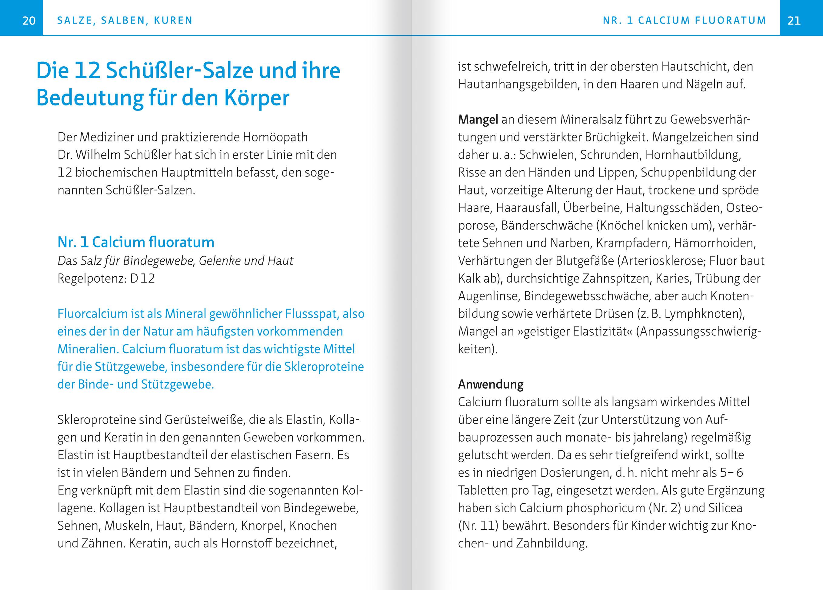 Beispielinhalt (Bild) Die 12 Salze des Lebens. Biochemie nach Dr. Schüßler