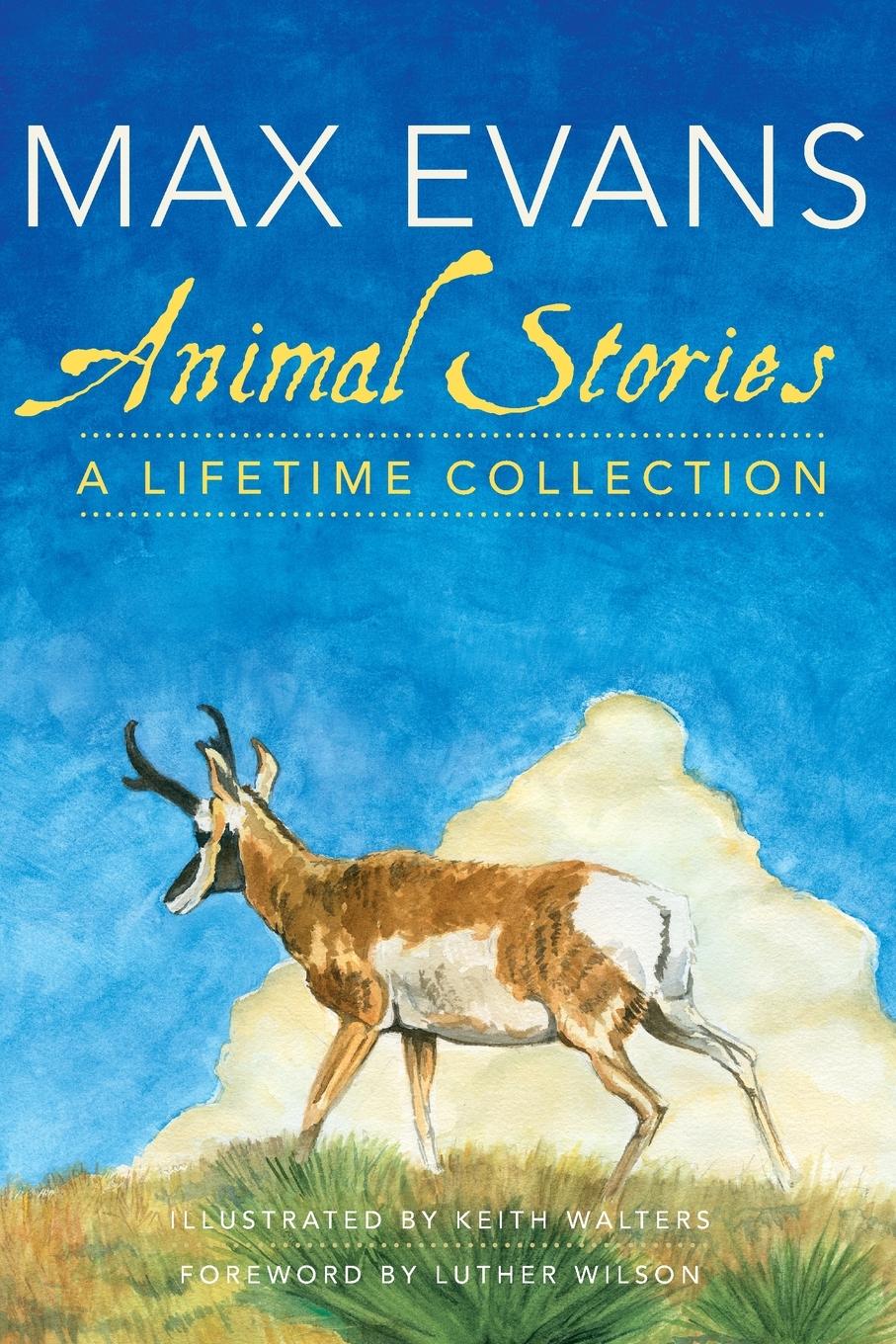 Vorderes Coverbild Animal Stories